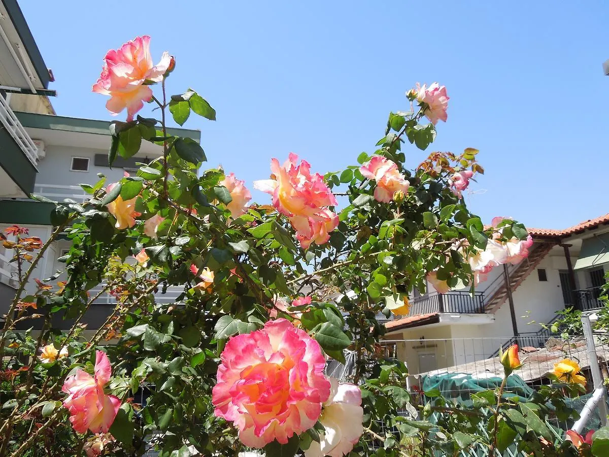 Sunshine Apartment Paralia Dionysiou Greece