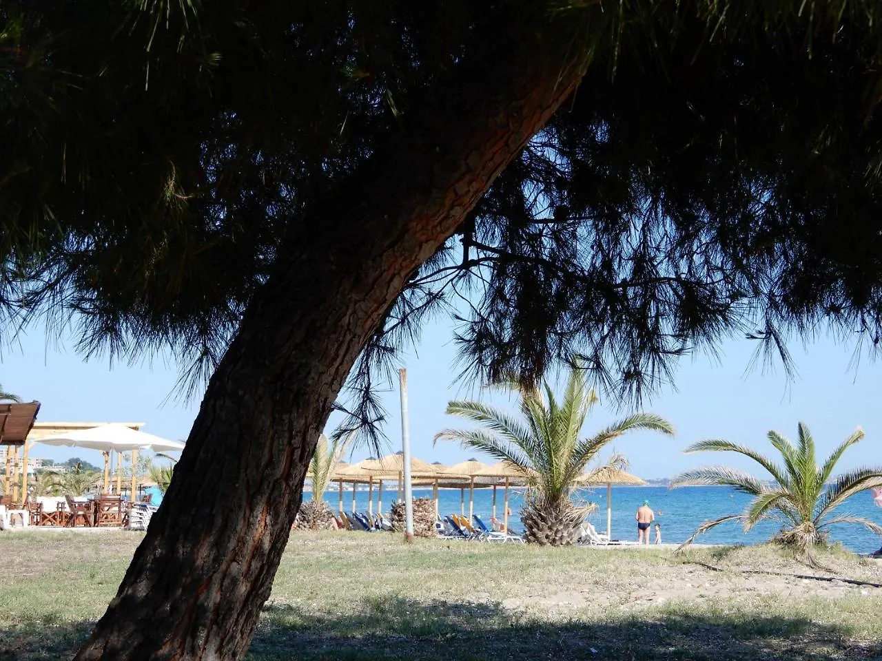 Sunshine Apartment Paralia Dionysiou